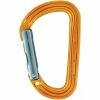 Petzl Carabiners Sm'D Wall Carabiner