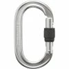 Black Diamond Carabiners Oval Screwgate Carabiner